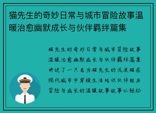 猫先生的奇妙日常与城市冒险故事温暖治愈幽默成长与伙伴羁绊篇集